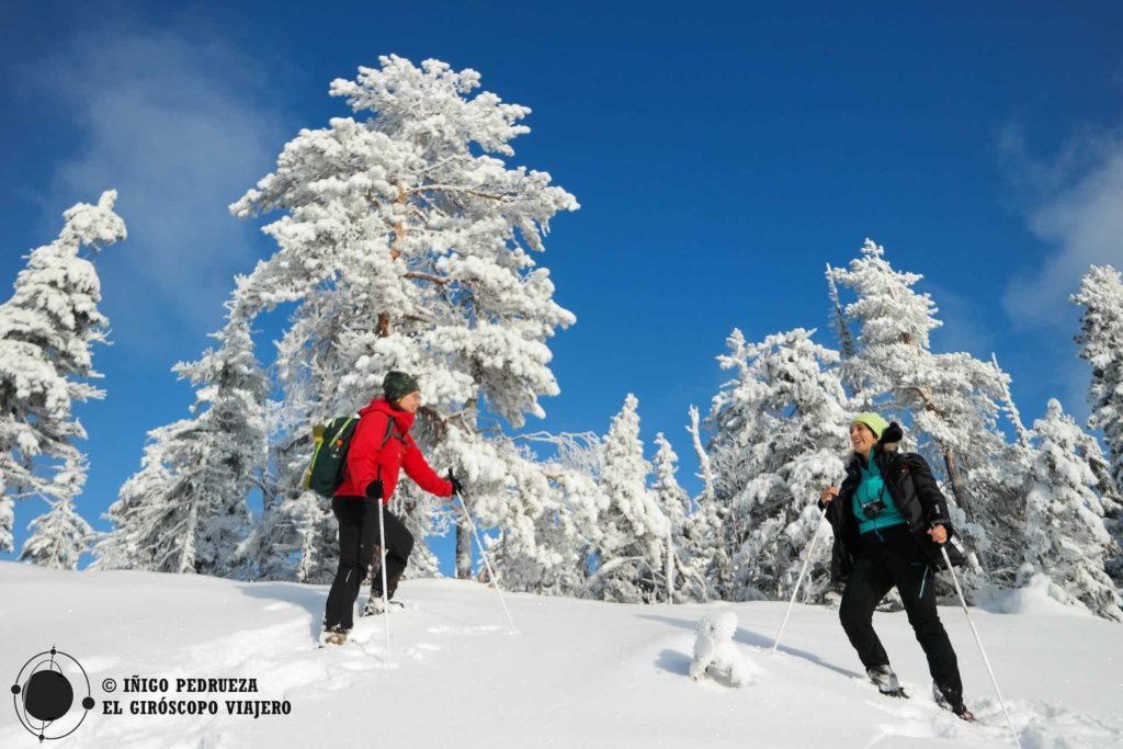 Paseos con raquetas de nieve en Finlandia - Guía de Turismo de